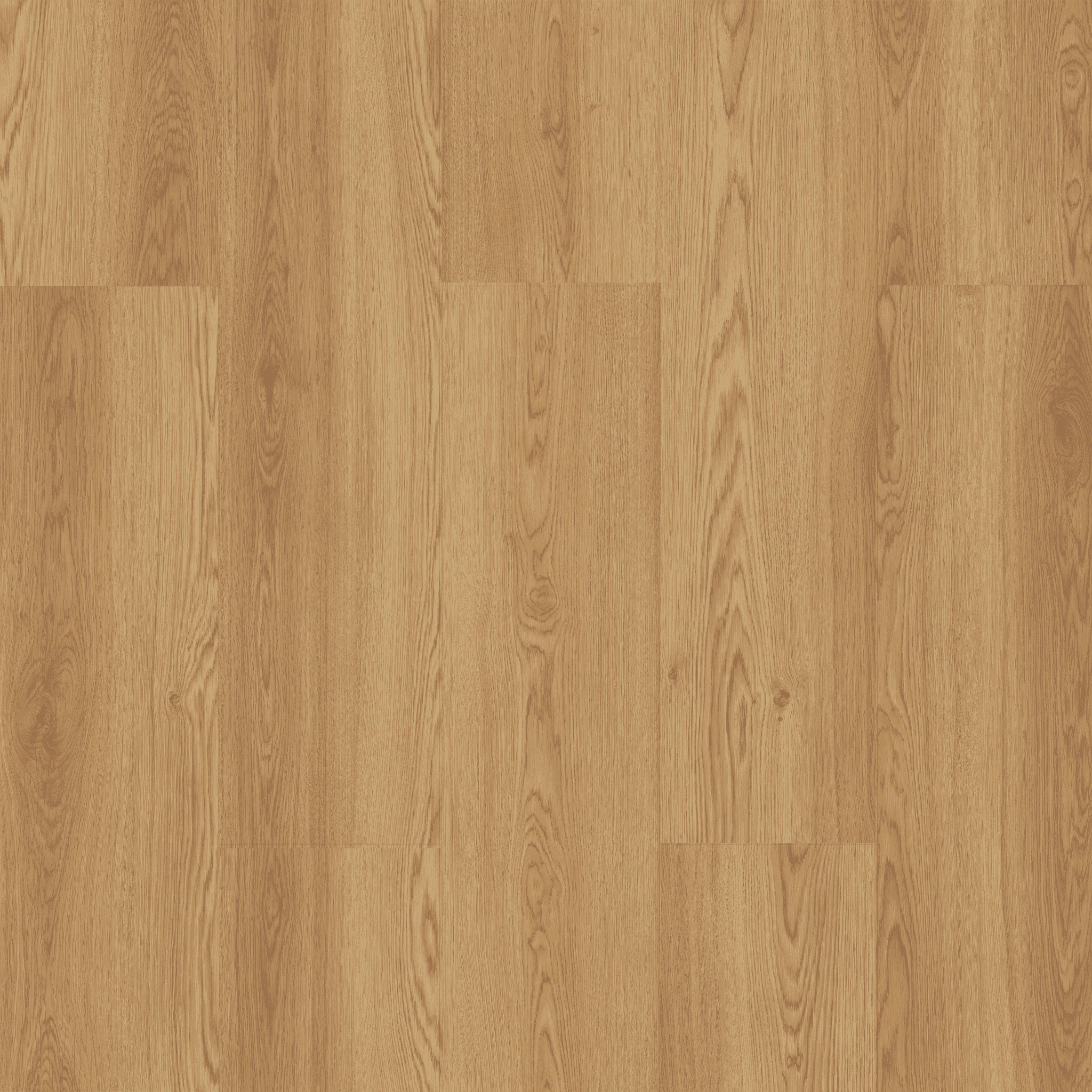 Abant Meşe - 704 doku görseli