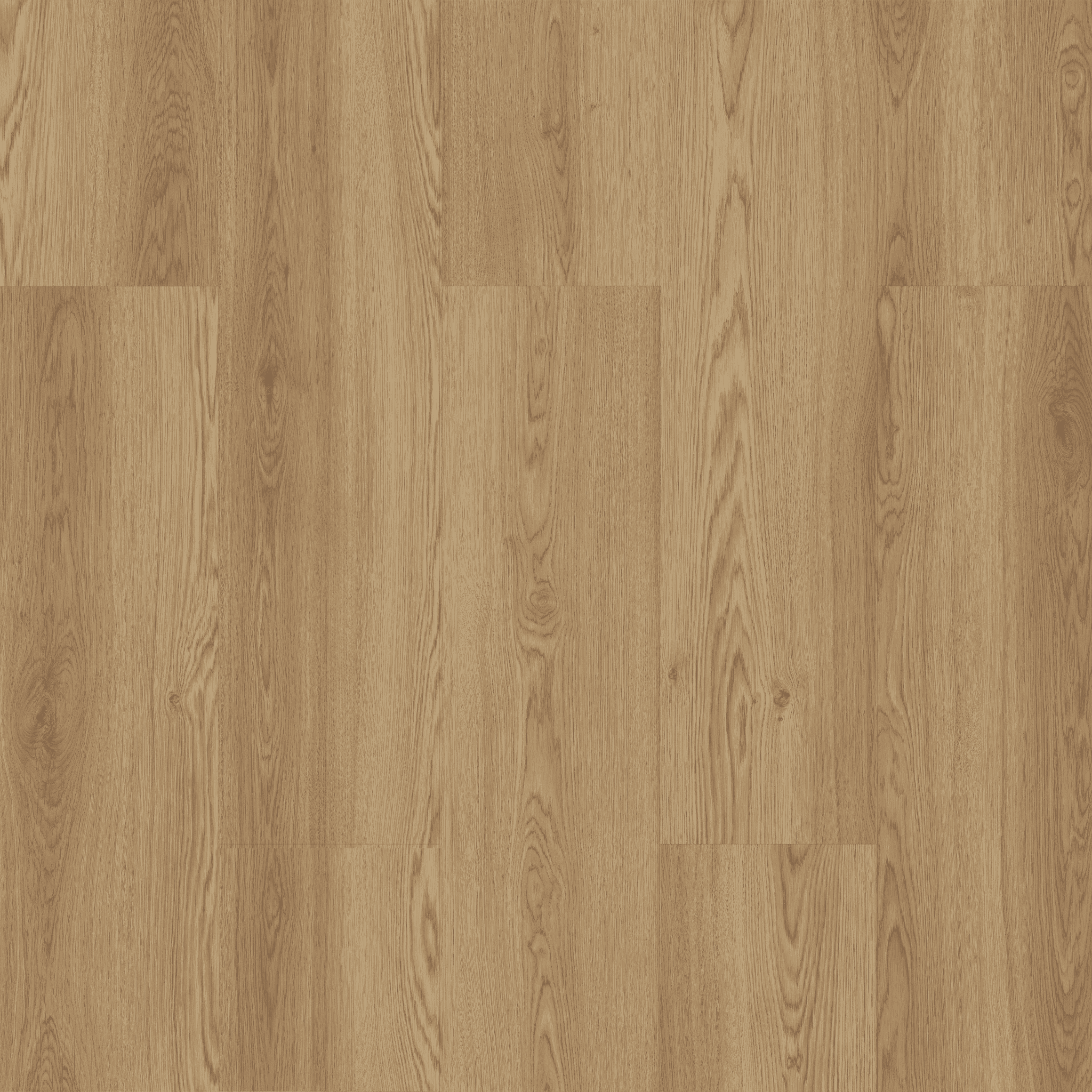 Abant Oak - 704 doku görseli