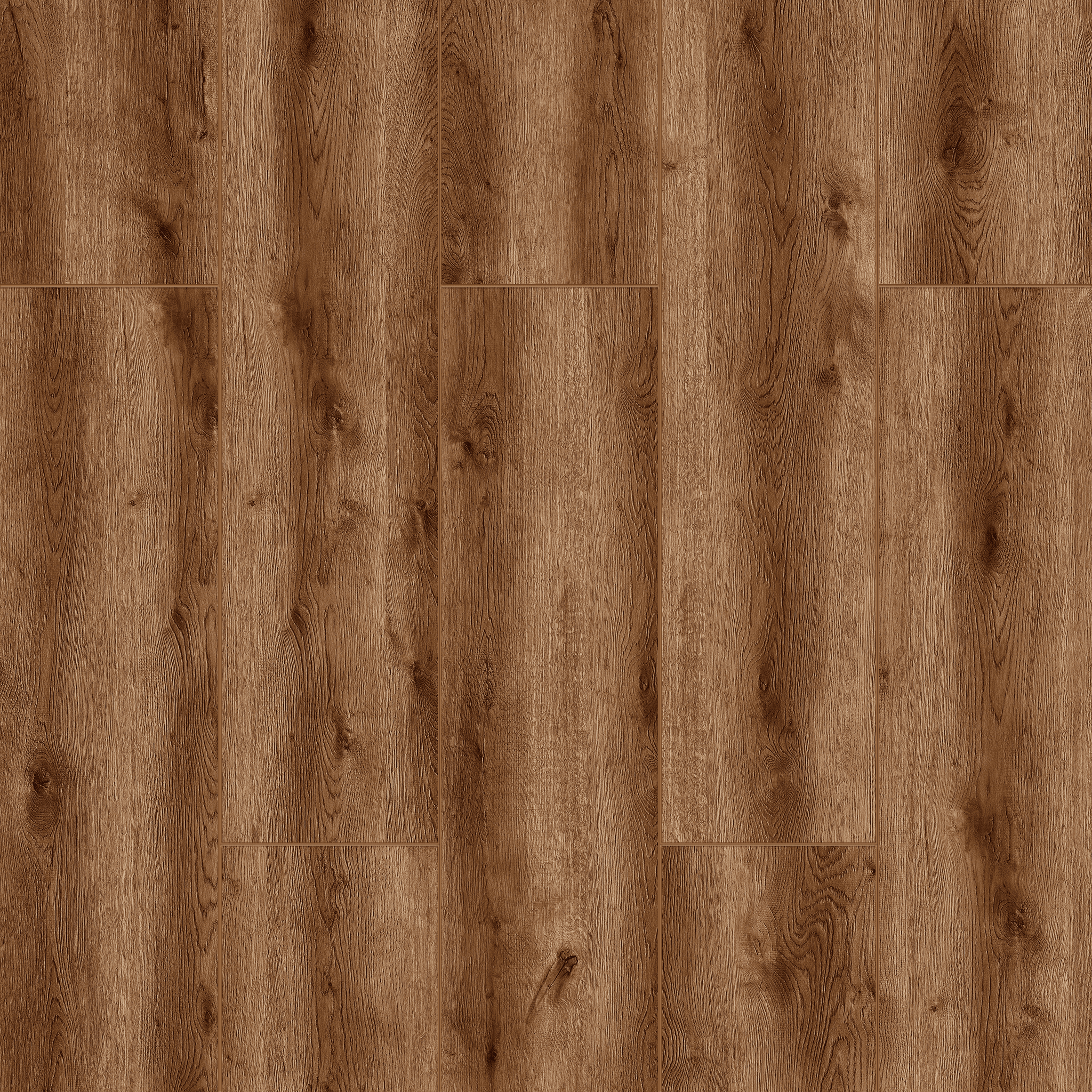 Aydos Oak - 721 doku görseli