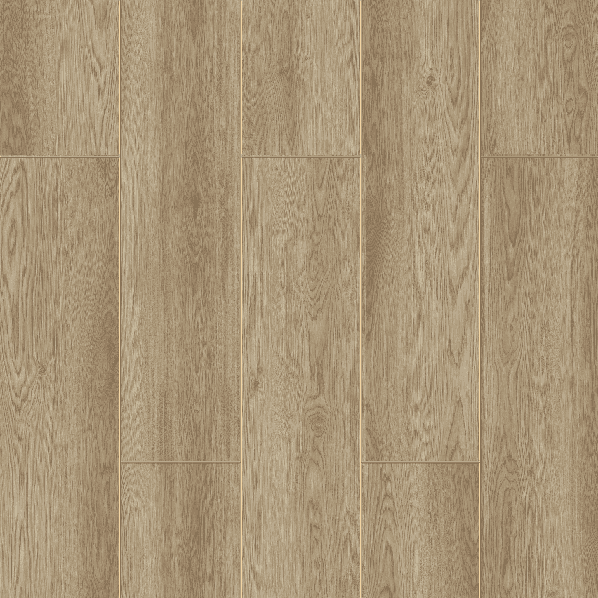 Kafkas Oak - 709 doku görseli