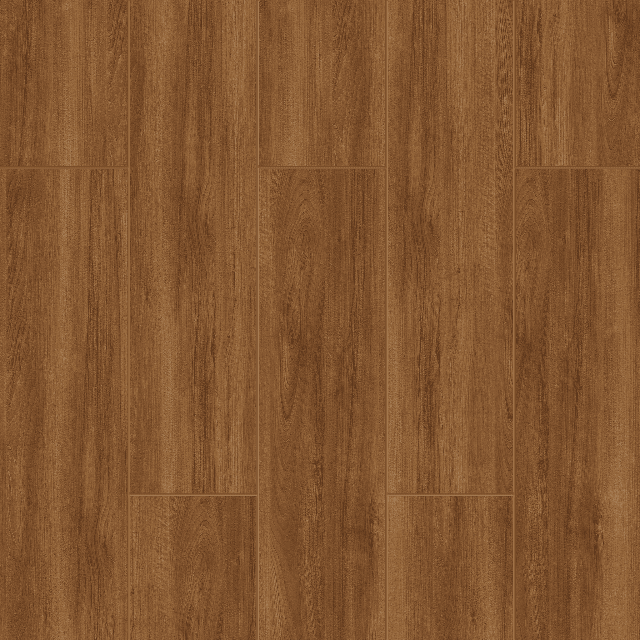 American Walnut - 2104 doku görseli