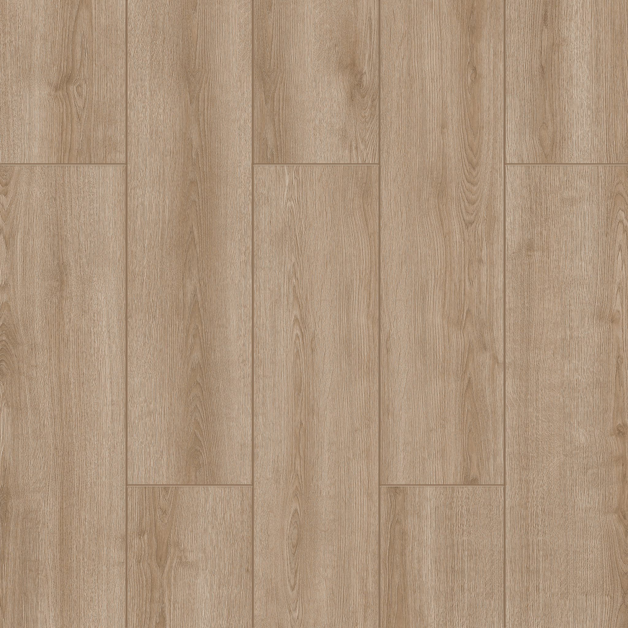 Barok Oak - 2101 doku görseli