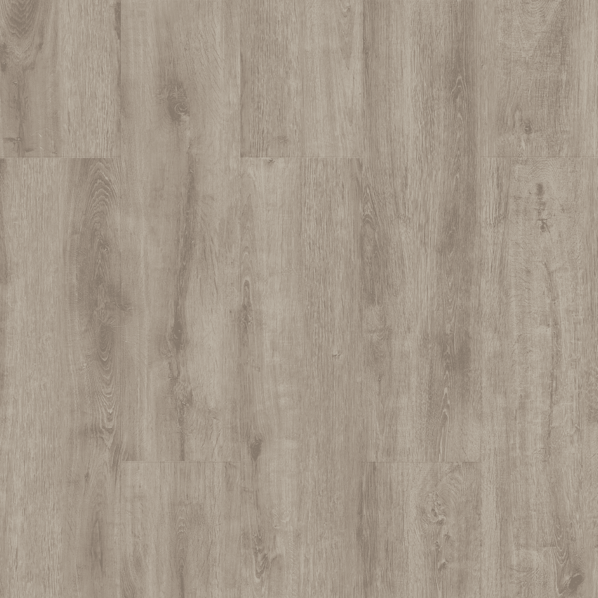 Acar Oak - 5004 doku görseli