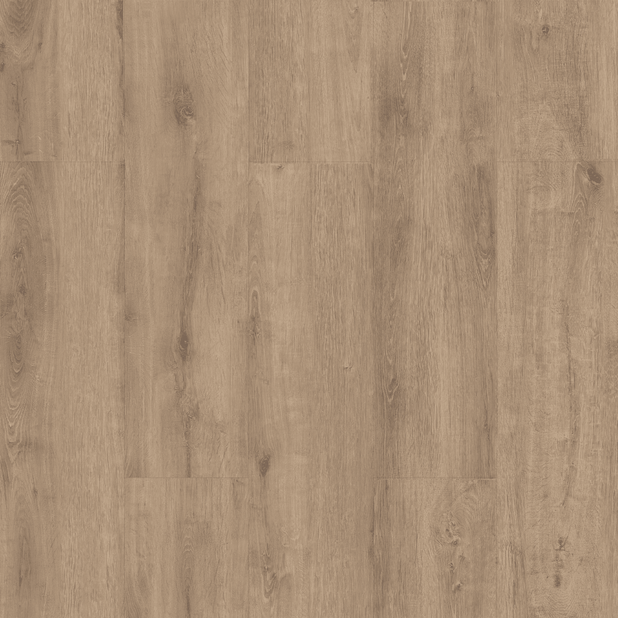 Sakarya Oak- 5002 doku görseli