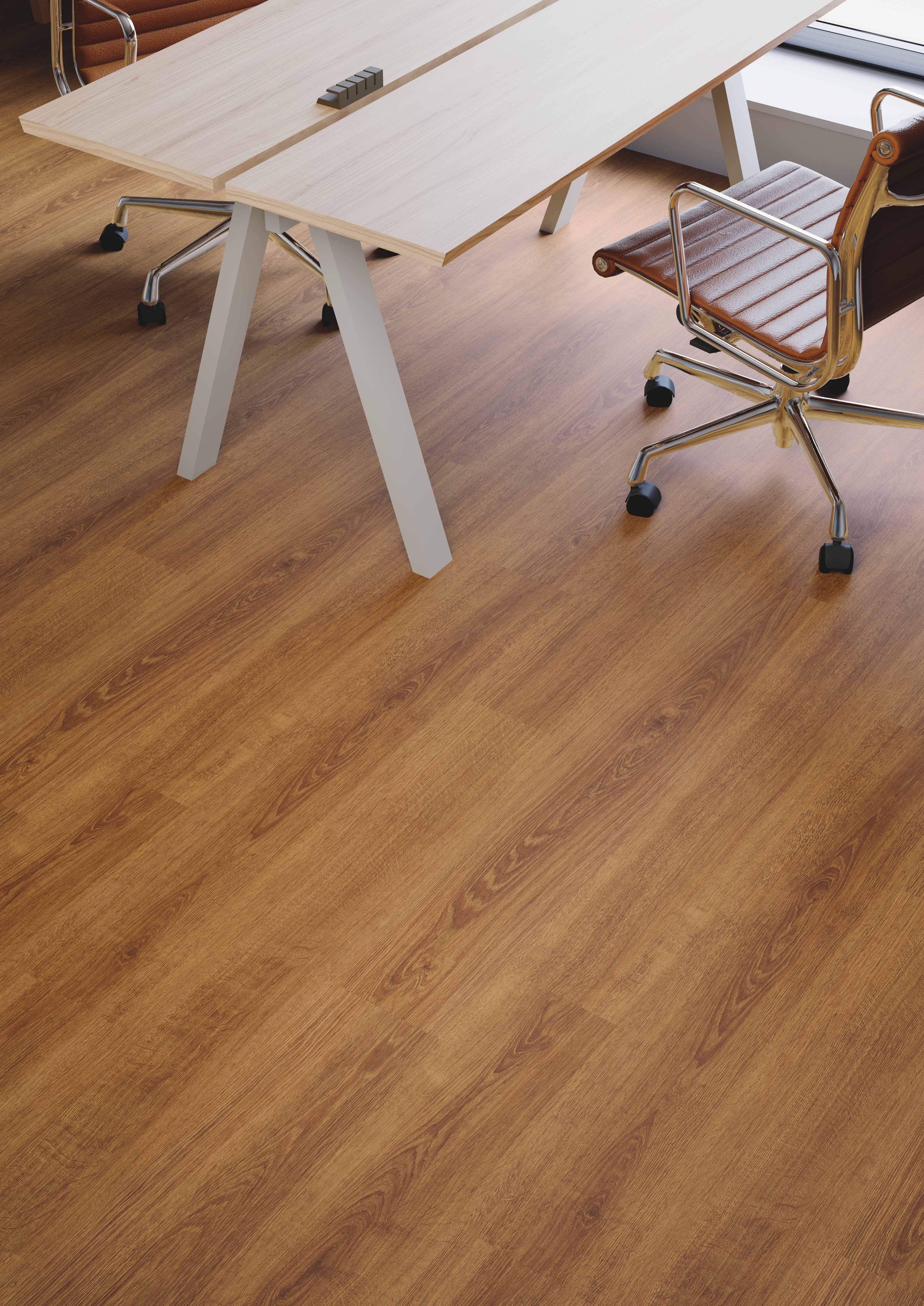 Volga Oak - 731