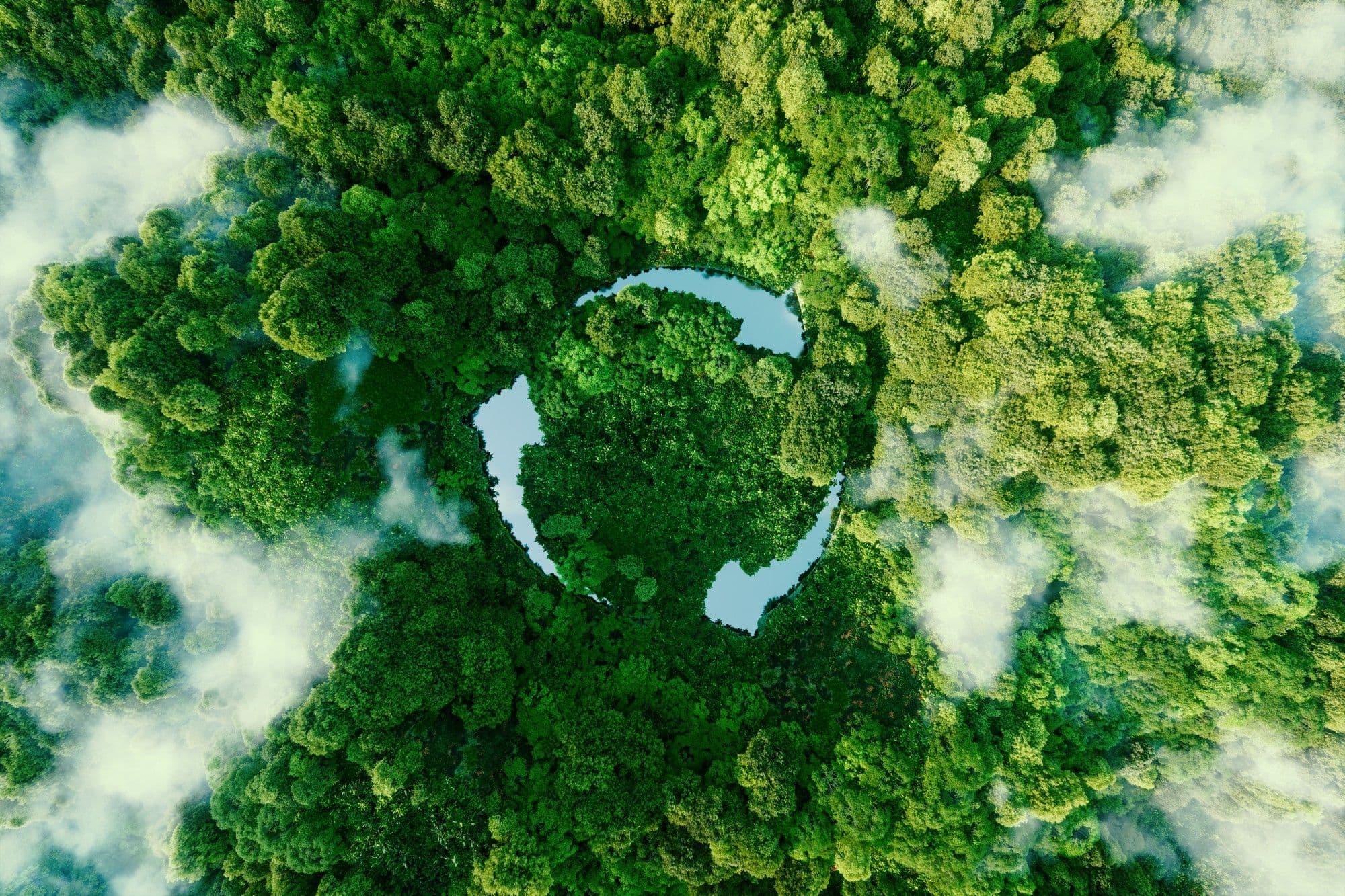 Çamsan Sustainability Banner
