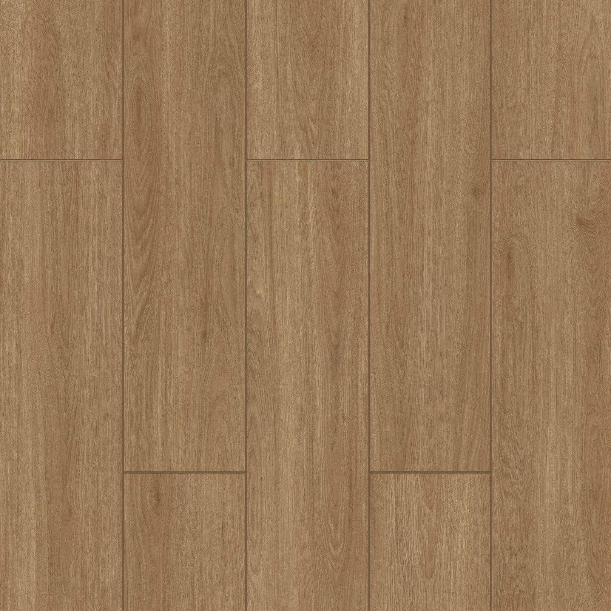 Solid Meşe - 733 doku görseli