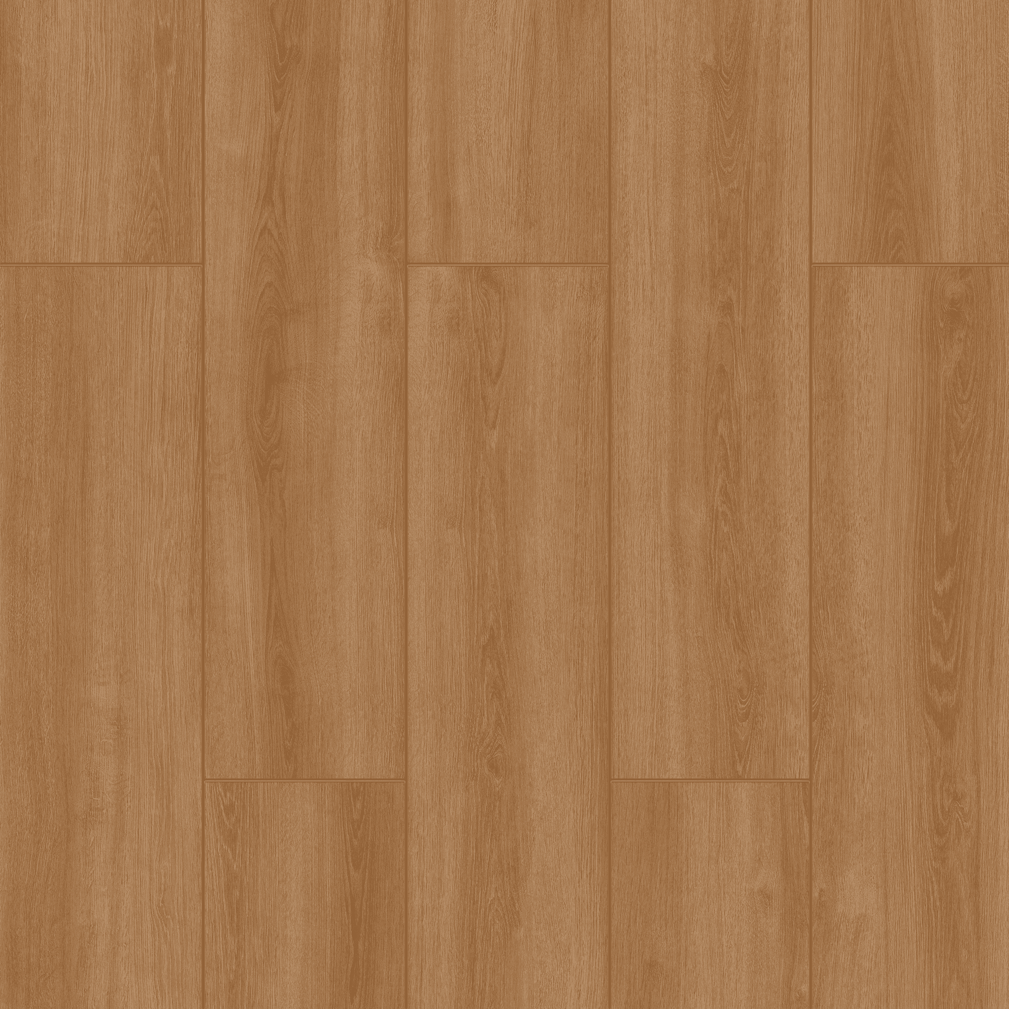 Filibe Meşe - 4541 doku görseli